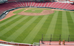 野球場舗装の種類とレイアウト 天然芝 人工芝 製品 サービス 日本体育施設株式会社
