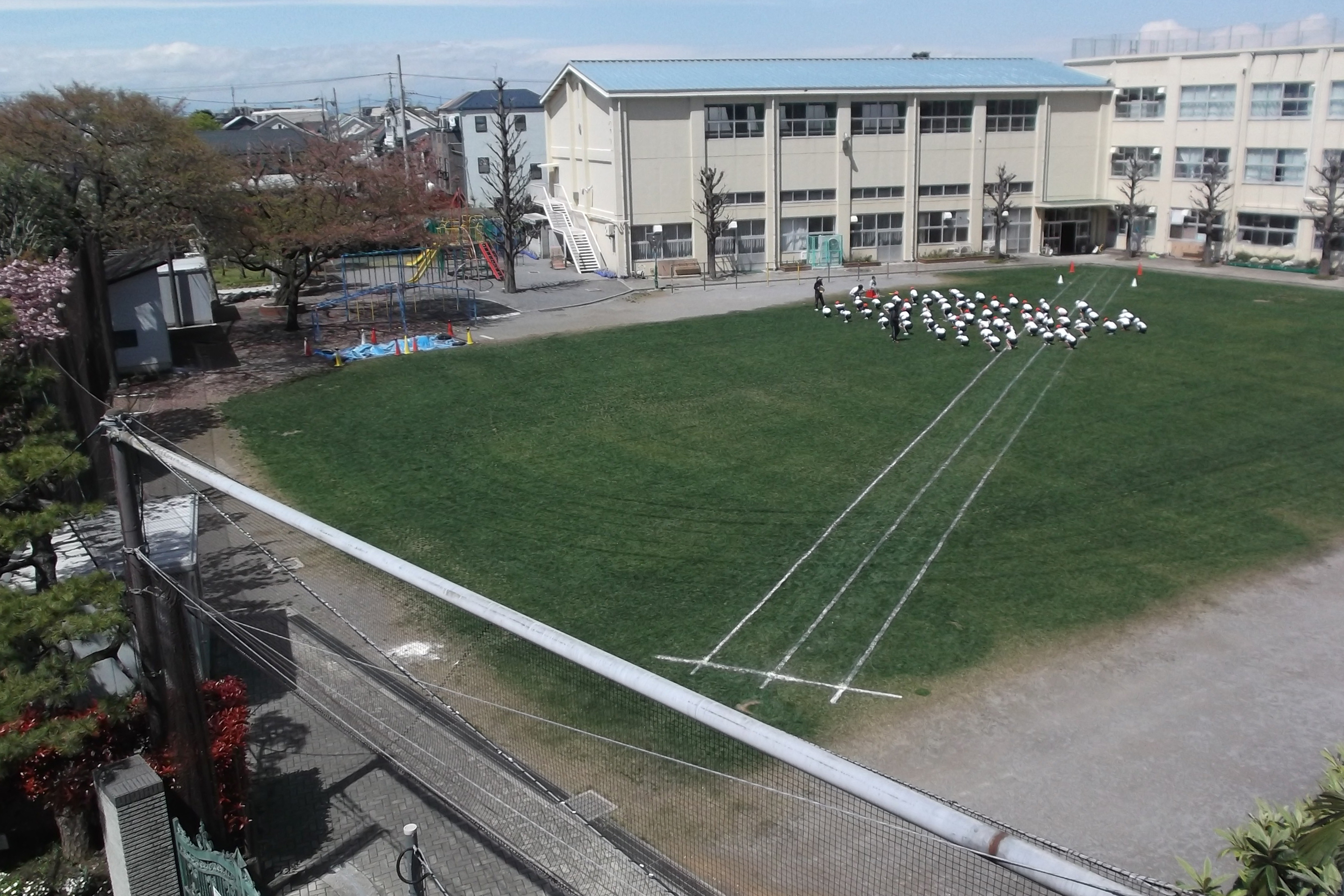 中野区立啓明小学校校庭 芝生管理 学校校庭 日本体育施設株式会社