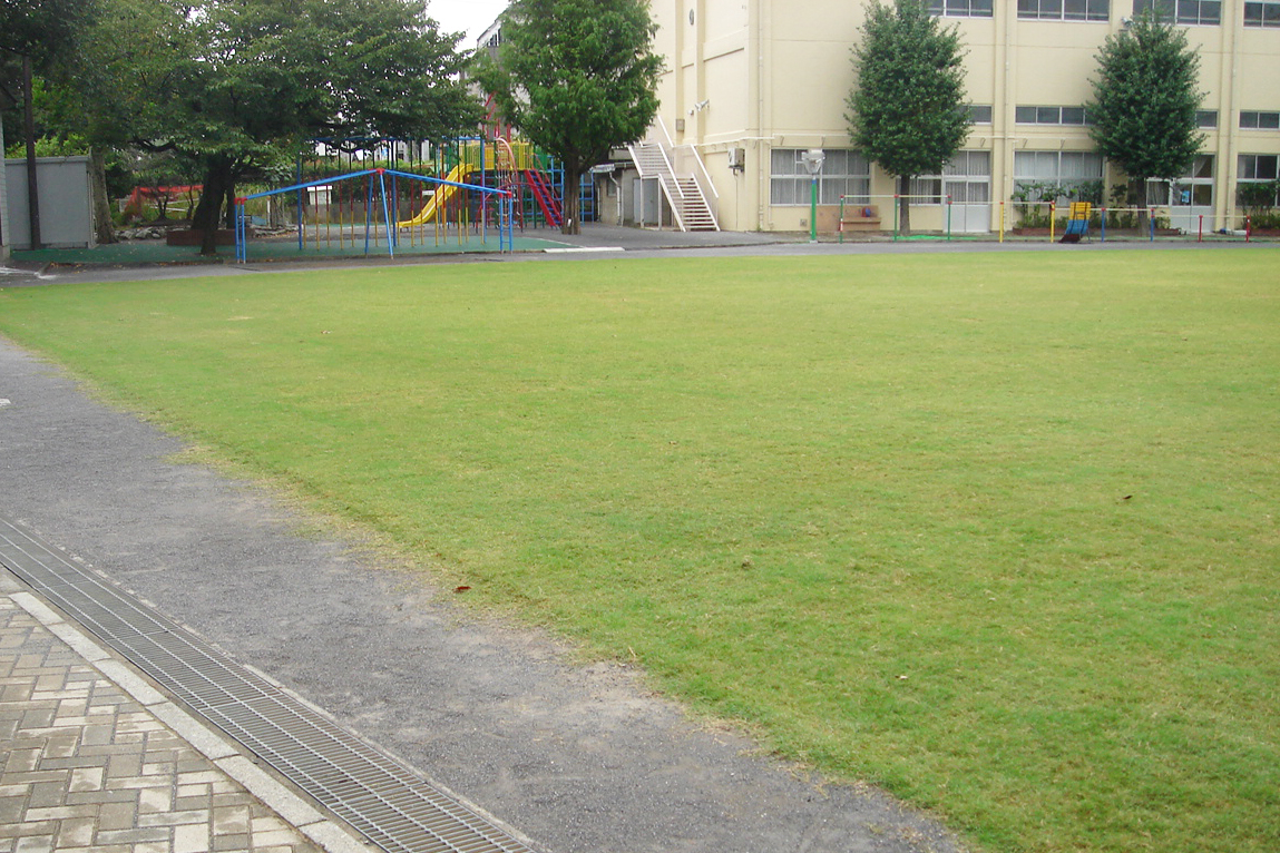 中野区立啓明小学校校庭 芝生管理 学校校庭 日本体育施設株式会社