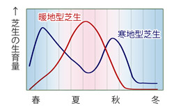 暖地型芝生と寒地型芝生の生育特性比較グラフ