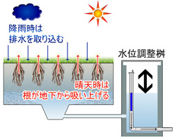 水分調整型土壌システムのメカニズムイメージ