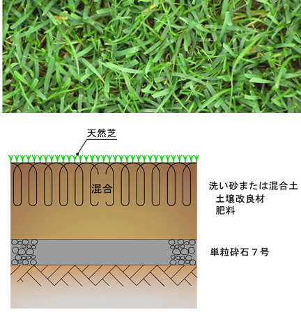 天然芝舗装の構造断面イメージ