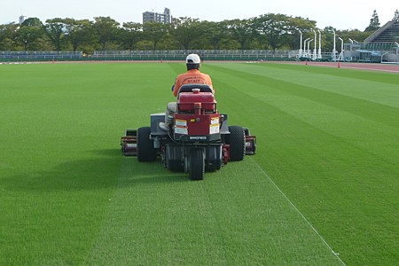 スポーツ施設 芝生グラウンドのメンテナンス作業