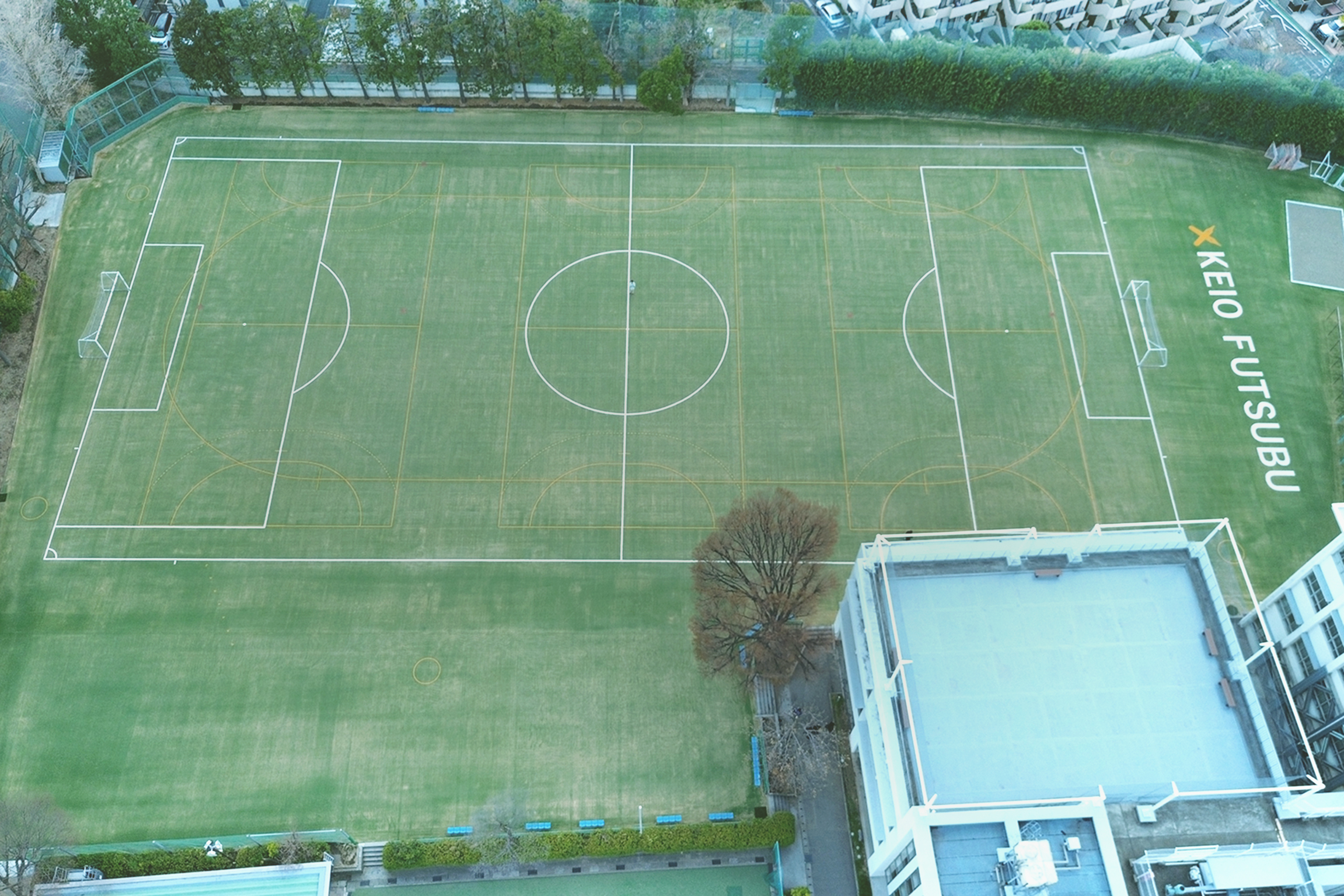 緑色の学校グラウンドの全景