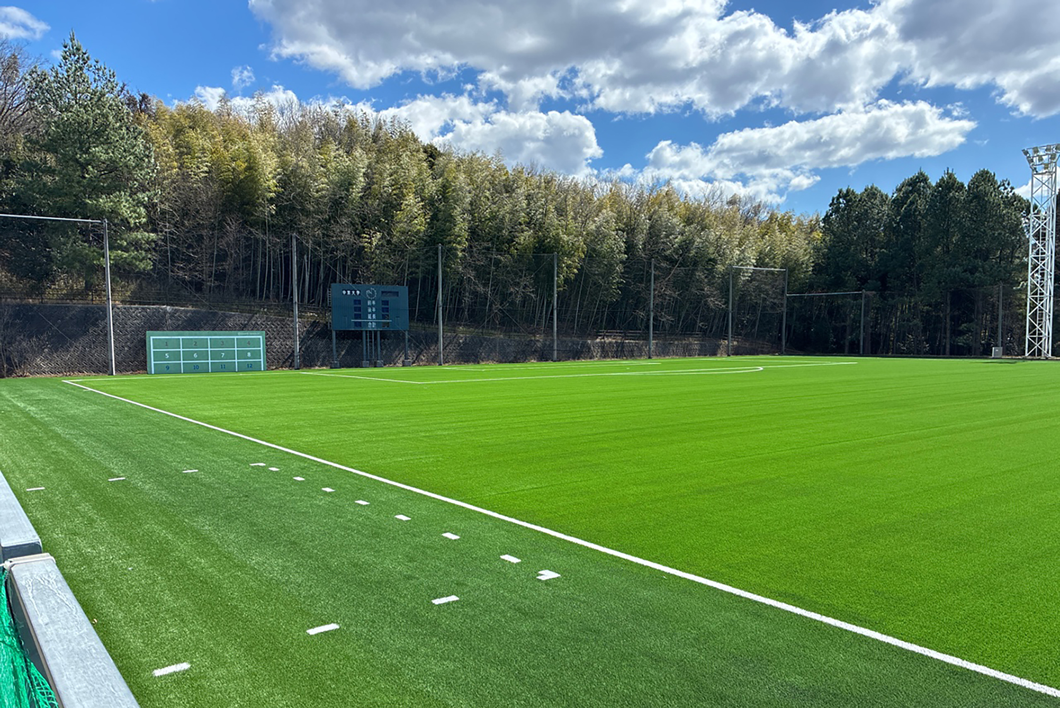 人工芝のサッカーピッチ