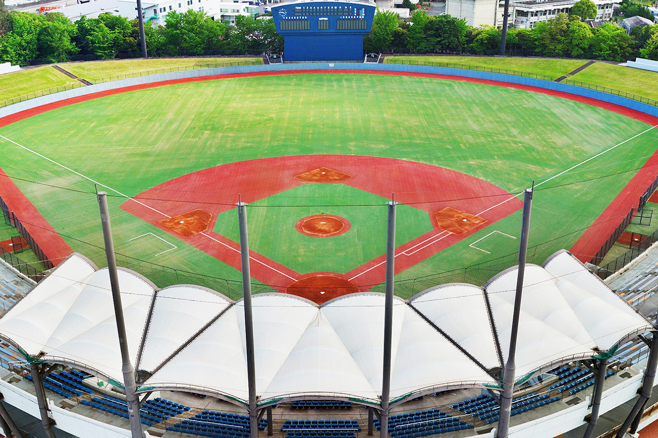 バックネット裏から見た野球場全景、赤と緑のコントラスト